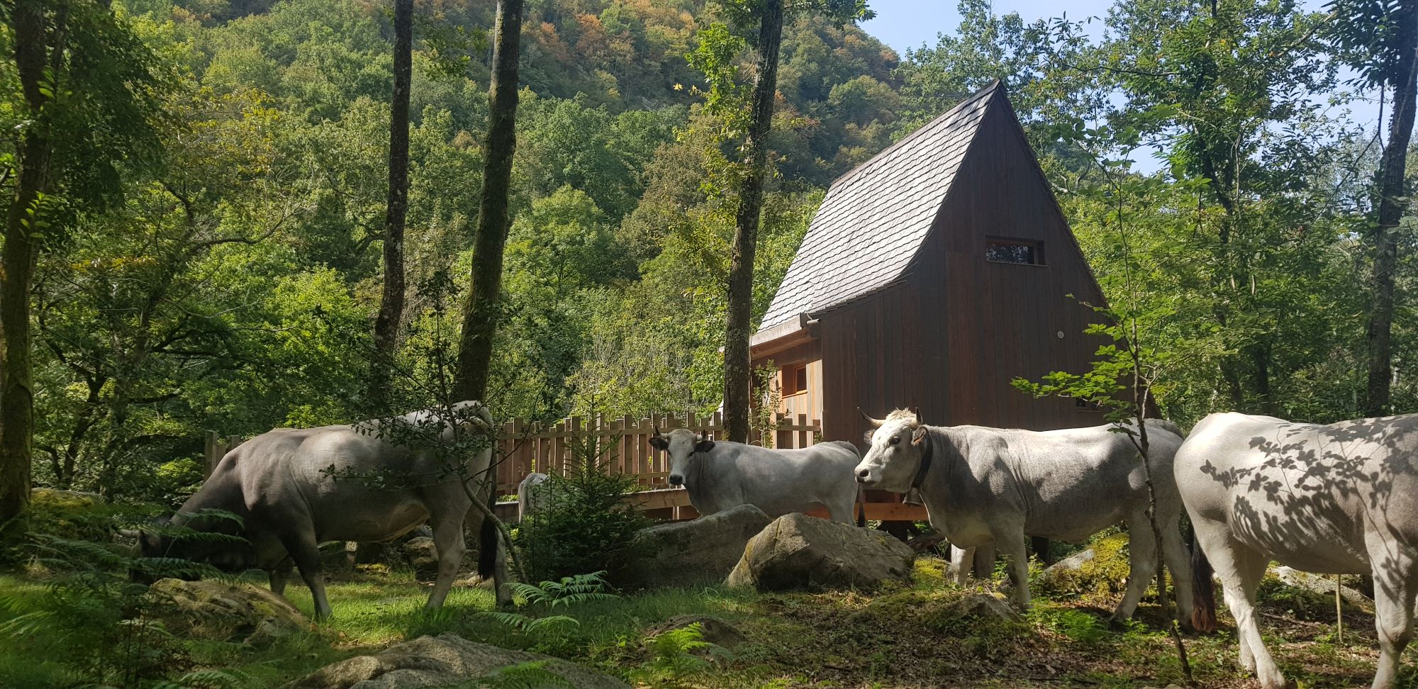 Nos Cabanes Perchées avec Spa